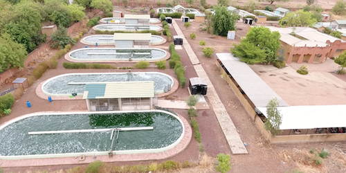 Ferme de Nayalgué à Koudougou
