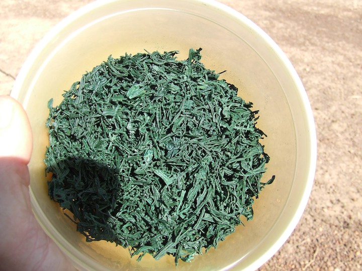 TECHNAP - Nayalgué - Spiruline paillette